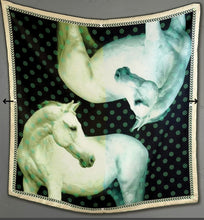 Load image into Gallery viewer, Silk scarves
