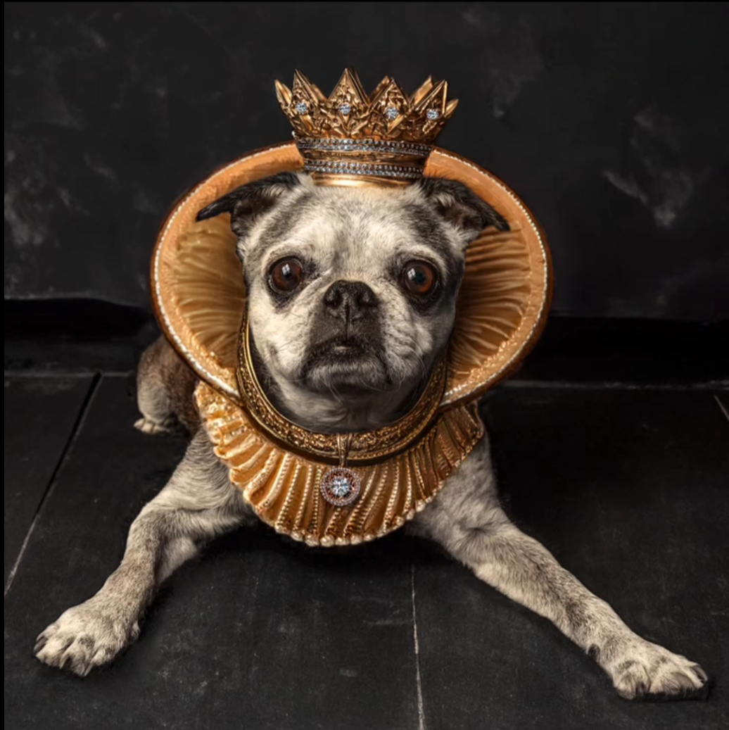 The Royals - King Pug