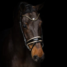 Load image into Gallery viewer, Regular Italian Leather Bridle
